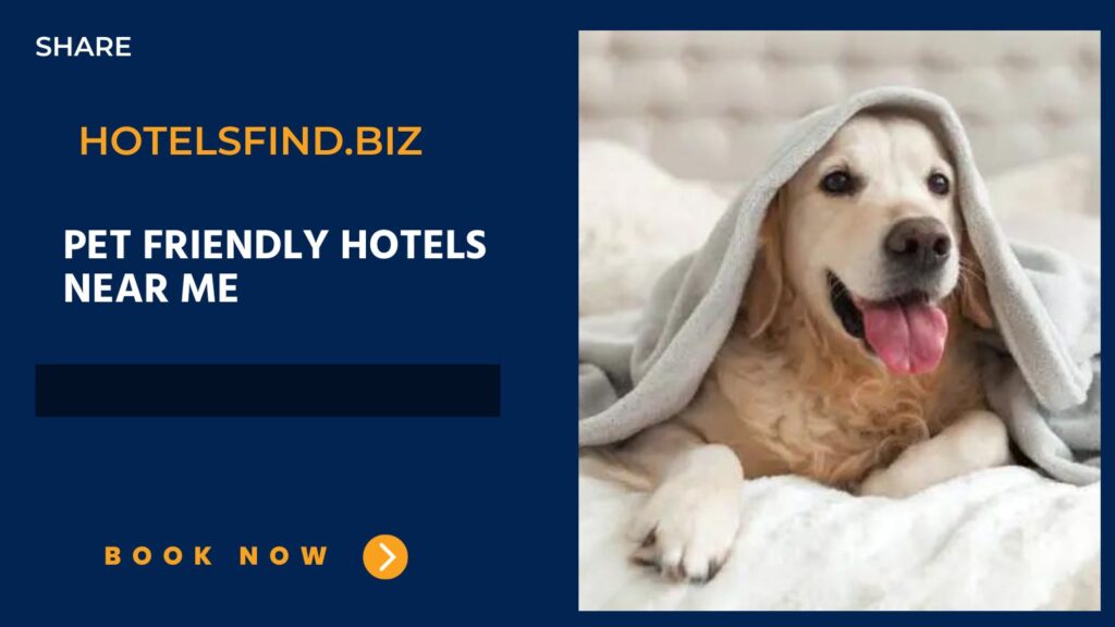 Pet Friendly Hotels Near Me