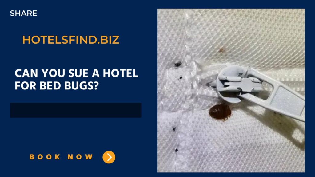 Can You Sue a Hotel for Bed Bugs